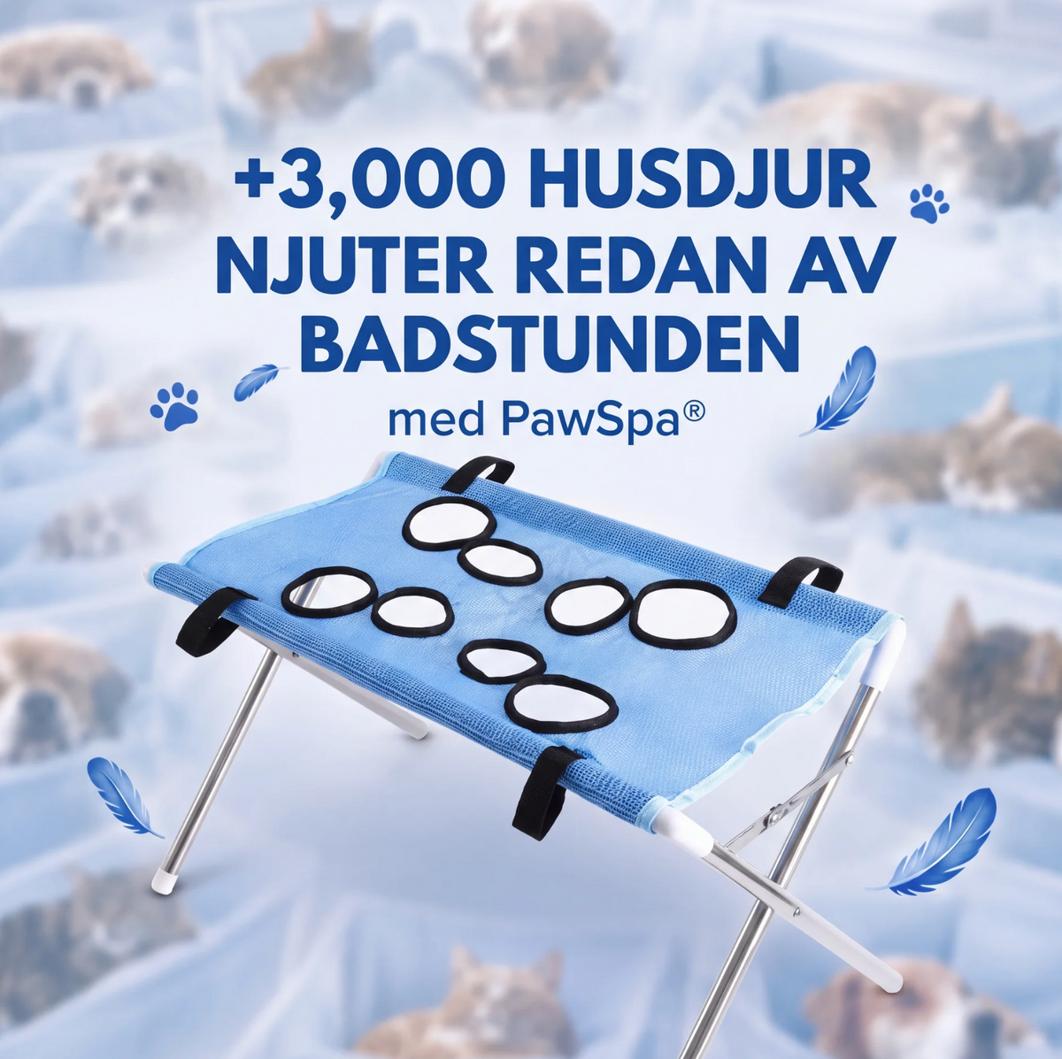 PawSpa – Äntligen ett Bad Utan Kaos
