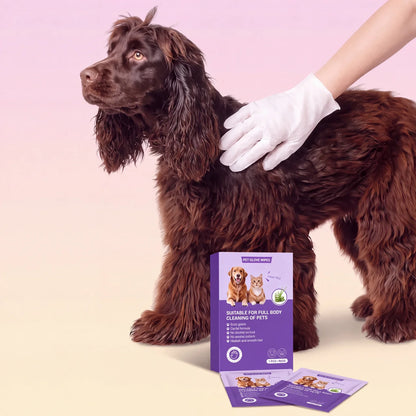 PawWipe – Badet din hund faktiskt gillar