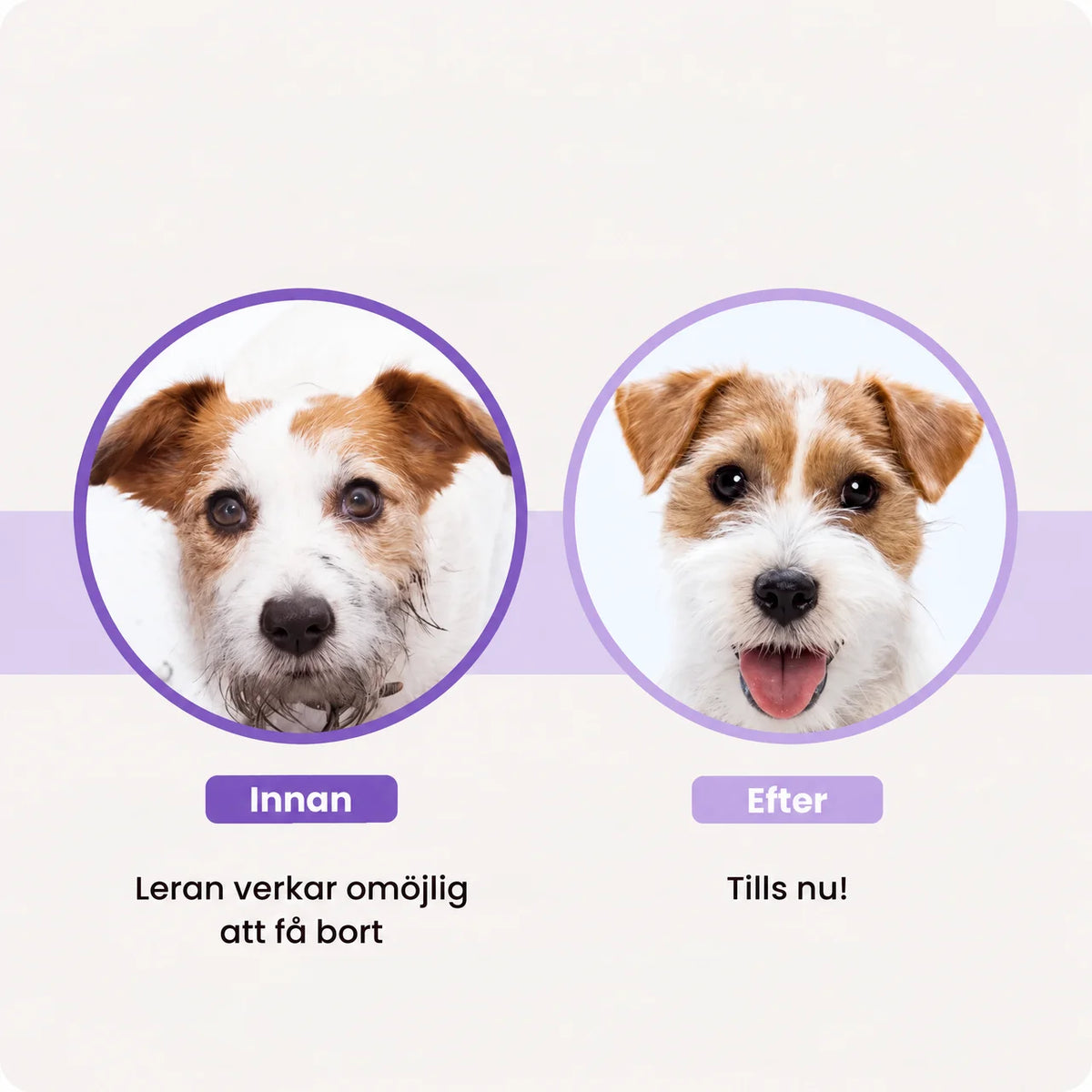 PawWipe – Badet din hund faktiskt gillar